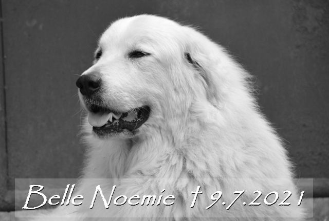 NOEMIE_2021_6a_359_in_memoriam.jpg