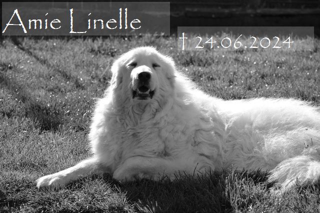 2024_4B_456_linelle_CB_.jpg
