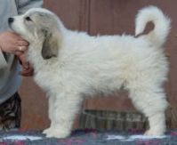 eefie_promo_postoj_2022_J_LITTER_7weeks_3__1308.jpg